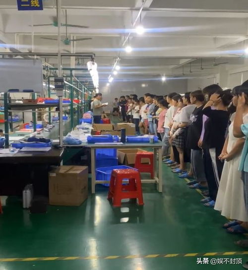 電子廠工程師與分類工作詳解 進城打工與演出經紀小知識